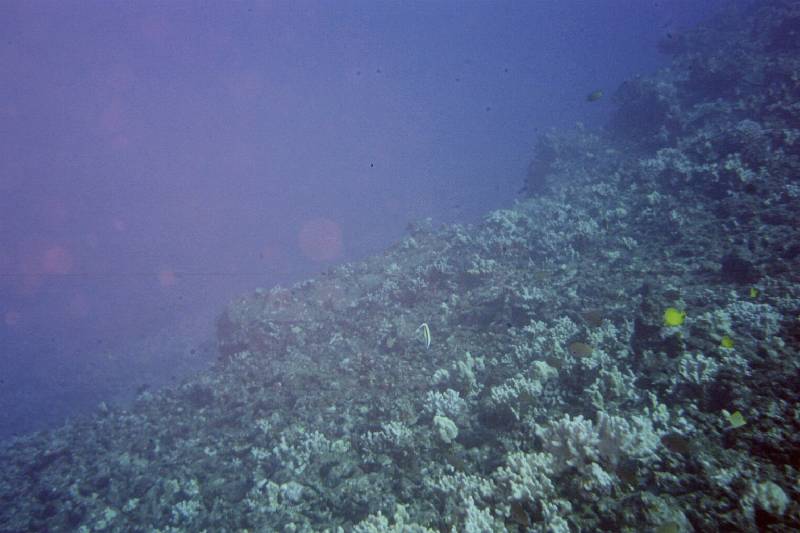 Original image