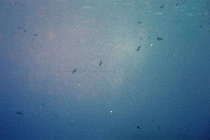 Original image