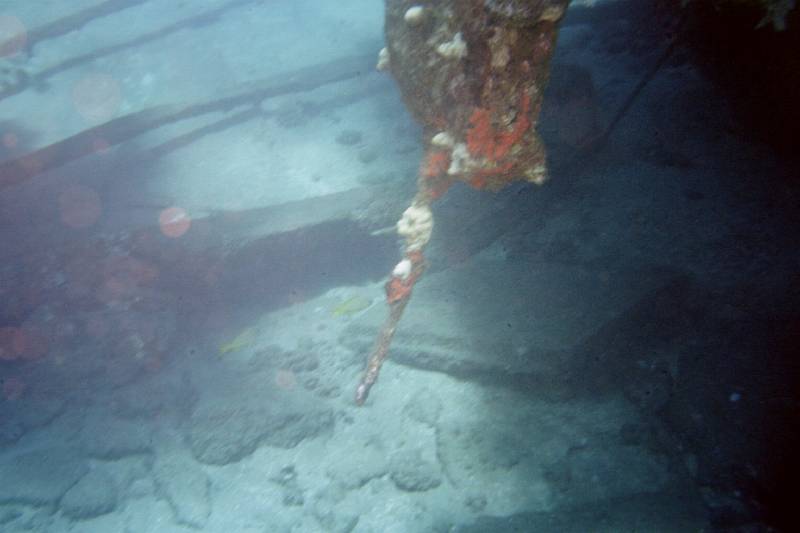 Original image