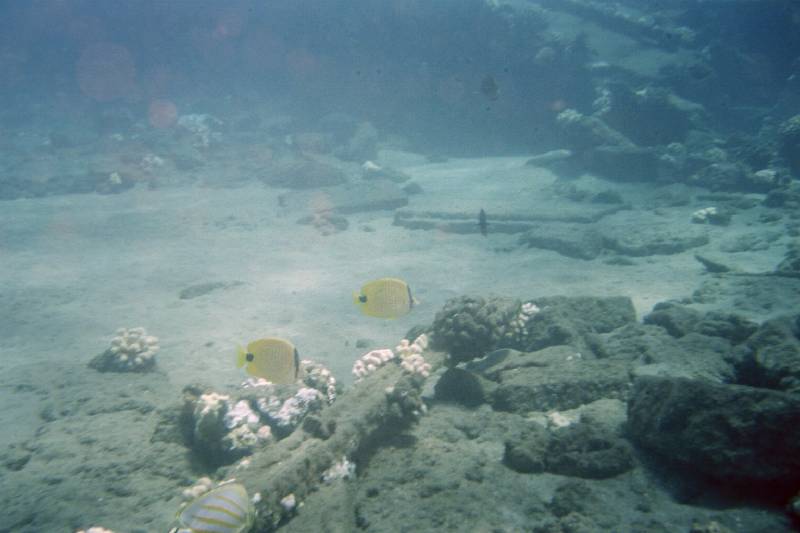 Original image