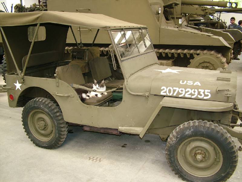 Original image